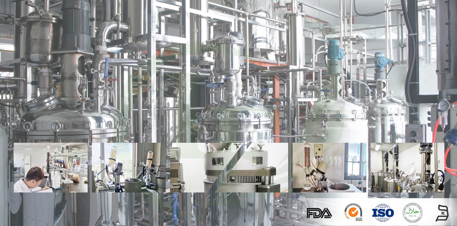 GMP production facility with stainless steel extraction and refining equipment